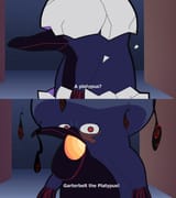 A Platypus