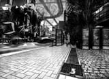 Chapter 322_ The Very Bottom of the Food Chain008