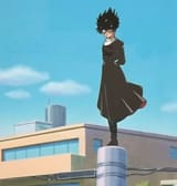 hiei pole