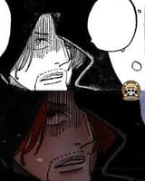 images (11)