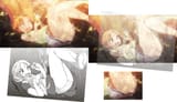 houseki