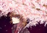 KakinePetals