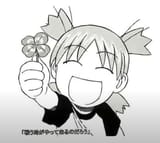 yotsuba clover