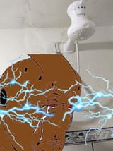 friedmonkey