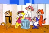 TopCat