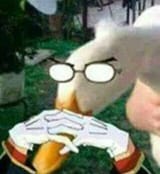 Duck keikaku
