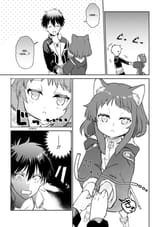 kot