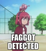 faggot detected