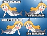 hakaseshark