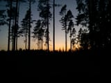 WP_000769