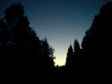WP_000794