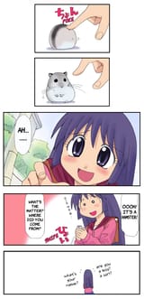 03