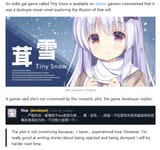 Tiny Snow