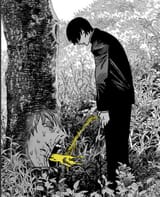 pee tree