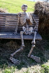 skeleton21