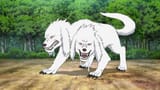 Double_headed_wolf