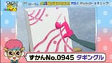 Taggingru2