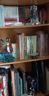 IMG_20250809_204325