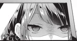 Looking at Garbage