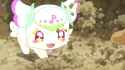 diggin puri_thumb.jpg