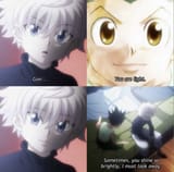 homo x homo