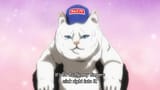184dd2c1-f2fc-437d-84bd-bf69b7c54721_800x600