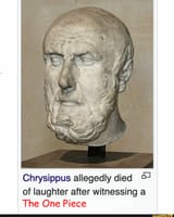 chrysippiece