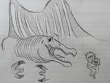 weird looking stork