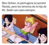 Well Gohan, the busty one will get flabby, but Mr. Satan&#039;s daughter&#039;s land is forever
