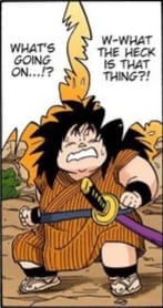 What the heck is that thing