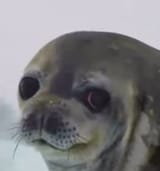 1743859387427440