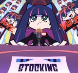 stocking