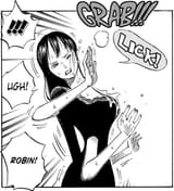 one piece robin lick