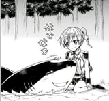 shark