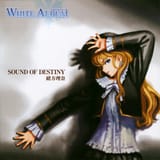 sound_of_destiny