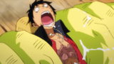 Luffy Nuts