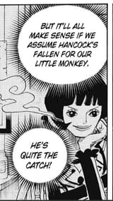 is-luffy-considered-good-looking-in-the-one-piece-world-v0-maymlczxgpvd1