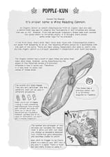 penis gun