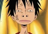 luffydumb