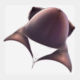 1740798084.malga_2-27-25-1