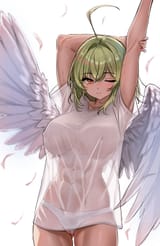 boobs