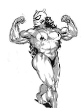 req pantha flex