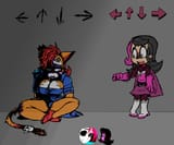 Shezow vs the cat