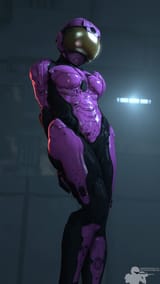 spartan_pose
