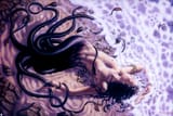 dorian_cleavenger_the_letter_anonib