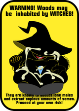 witch_warning_not_heeded