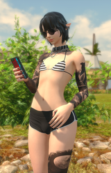 ffxiv_dx11 2025-06-29 18-07-23