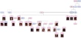 TGtree