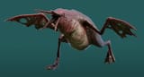 Infected_Penguin_(Zoochosis)