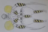 20250704_044808
